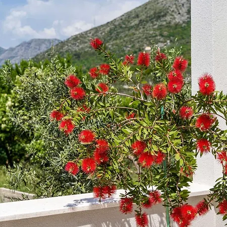 Doma - Two Bedroom With Terrace Cavtat